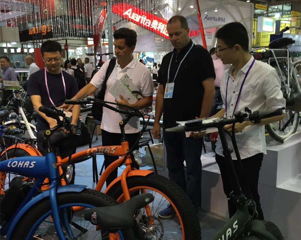 Electric Bike Manufacturer Wholesale with MID Drive Bafang Motor 350W