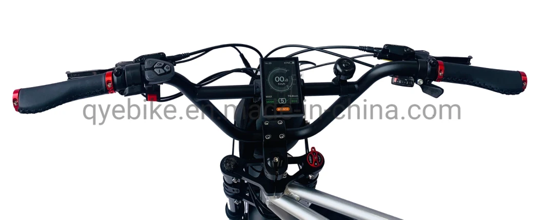 Queene 1000W Bafang MID Drive Electric Mountain Bike Full Suspension Emtb Mountain Ebike Enduro Ebike