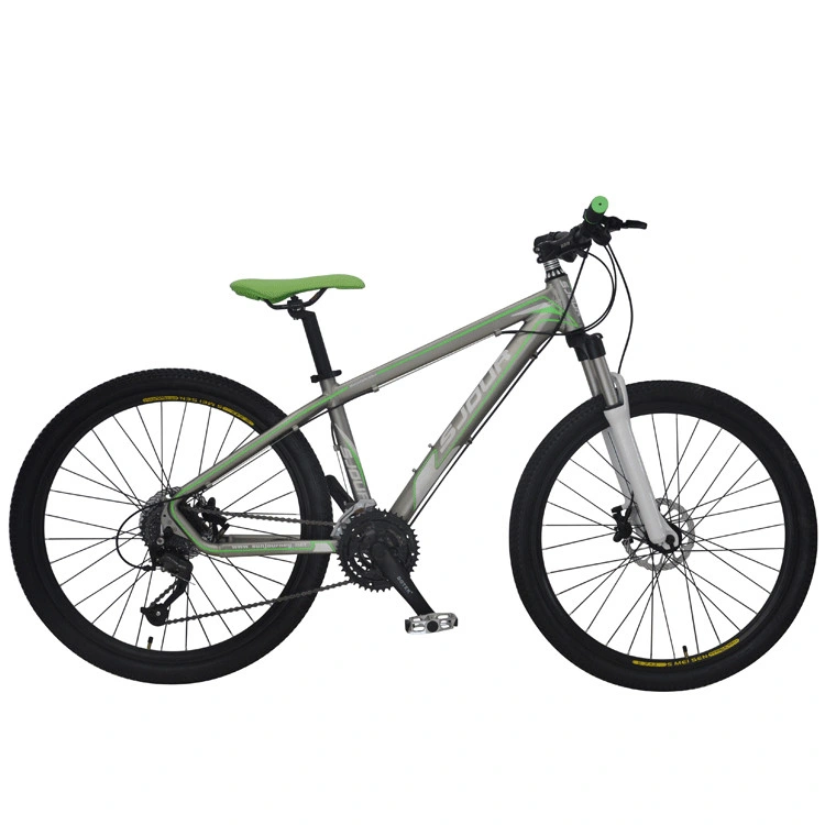 Wholesale 26 Inch Steel Mountain Bike/Factory Price Downhill Mountain Bike for Men/Mountain Bike