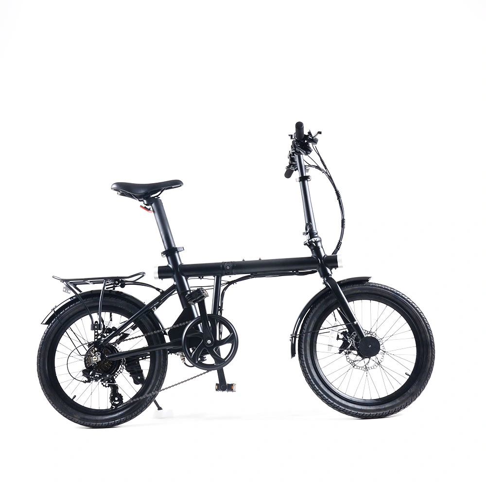 Best-Seller 20 Inch 250W Motor Folding Mini Ebike with LED Light for Bicycle with MSDS