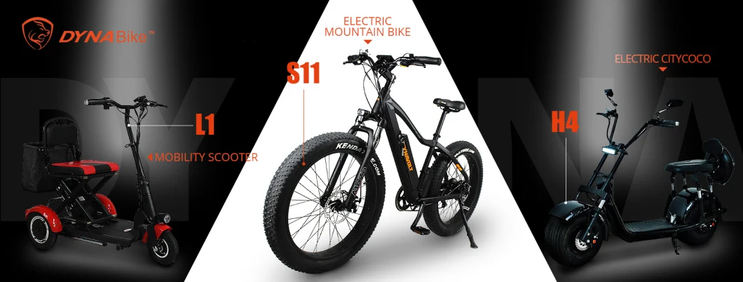Factory Direct Supply Removable Battery Long Range Fat Tire Mountain Ebike