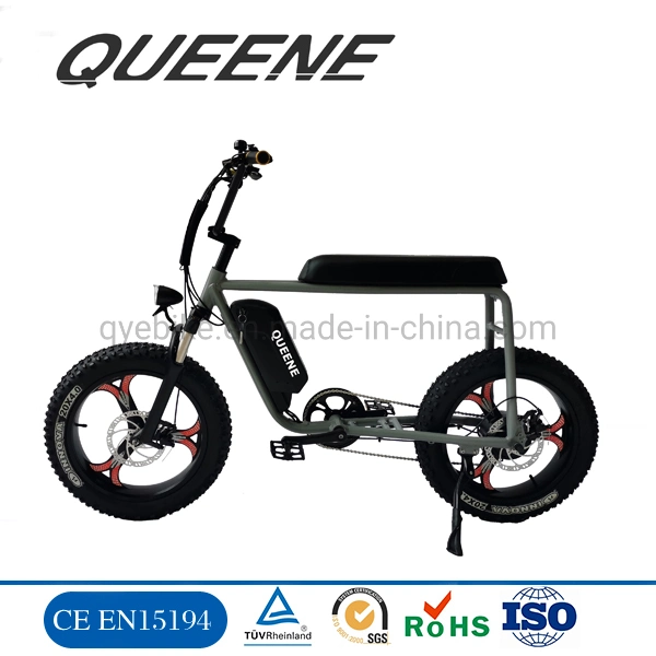 Queene/73 Ebike 750W/1000W Retro Chopper Fat Tire Electric Bicycles Electric Motorbike