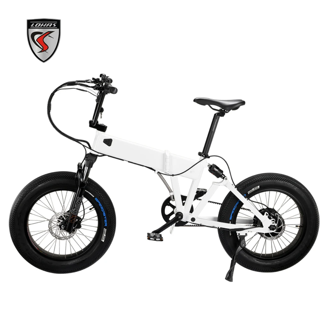 Folding Electric Bike E Bike, 20 Inch Electric Bicycle with 48ah 10.5ah Removable Lithium-Ion Battery Fat Tire Folding Bike Belt Drive Electrical Bike