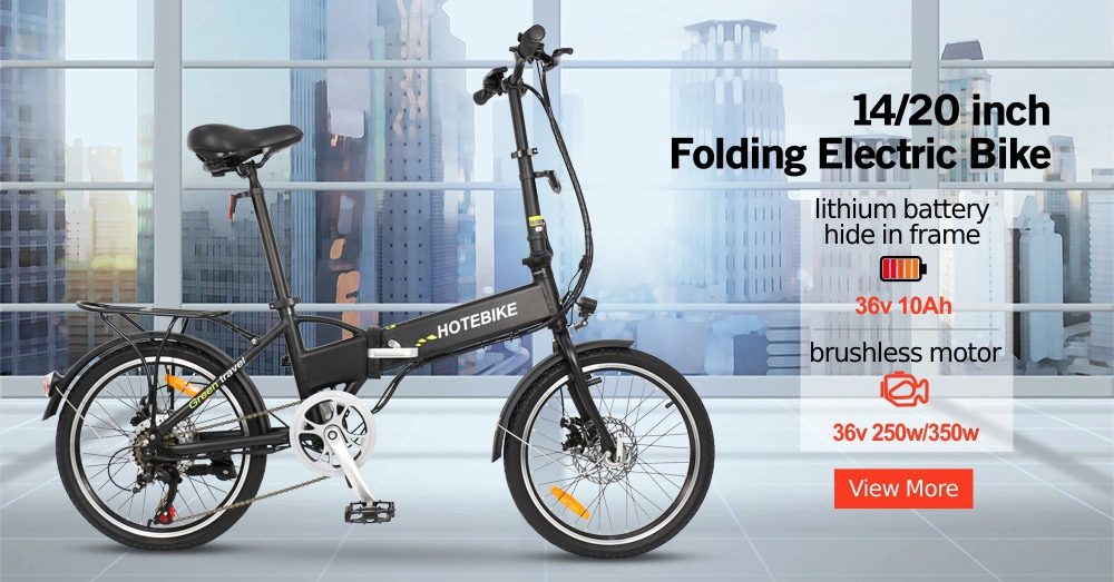 Specialized Urban Electric Bicycle Bike China 28-Inch 36V 250W/350W