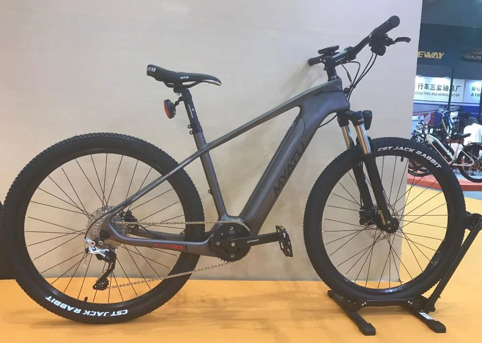 New Electric Bicycle Mountain Bike with Carbon Fiber Frame