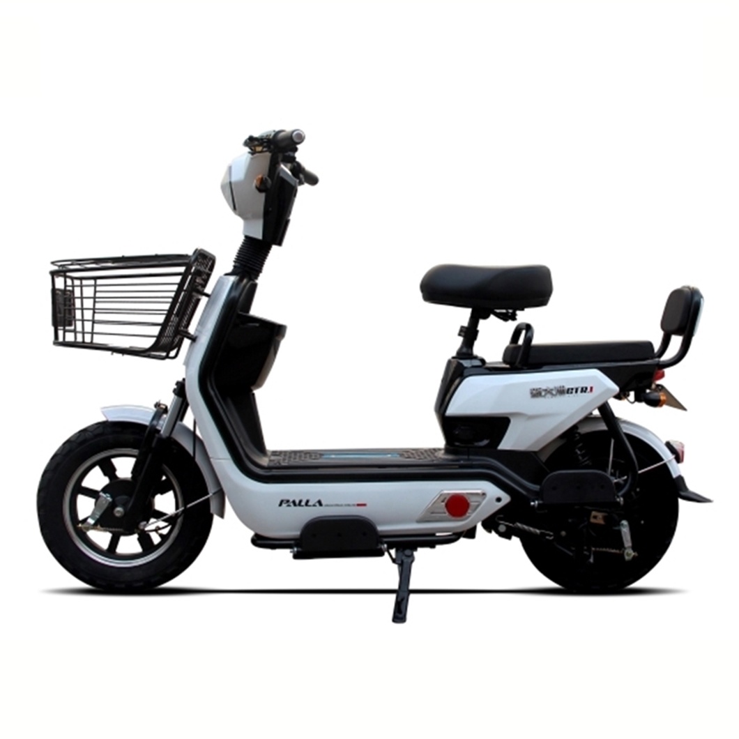 Outdoor Green Vehicle 800W/1000W Electric Motorcycle/Electric Scooter/Electric Bike