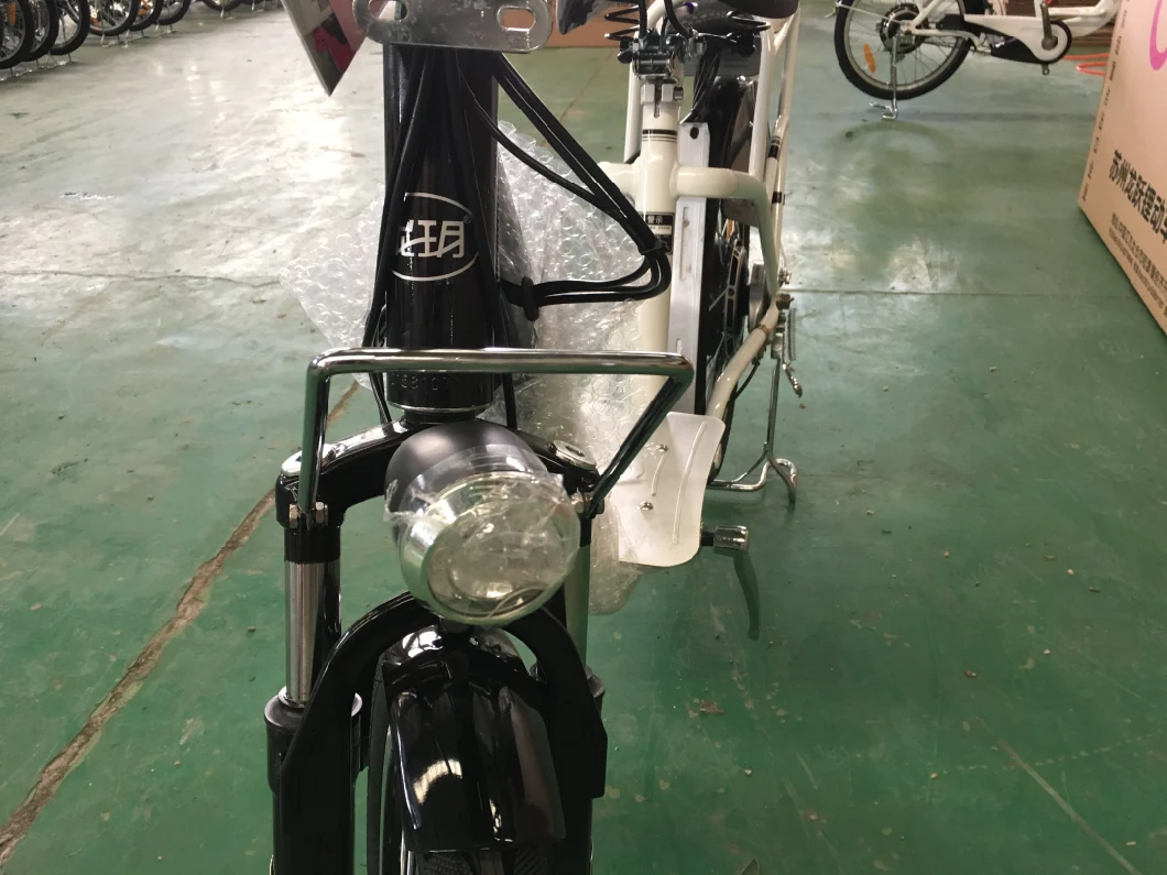 Hot Sell Long Range Electric Bike with 350W Motor