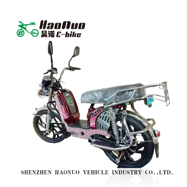 2020 Stand Side 17 Inch 60V 500watt Electric Bike with Pedal for Adult