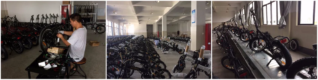 Top/OEM 500W 48V15.6ah Lithium City Electric Bycicle/ Electric Bike/Electric Bicycle/Ebike