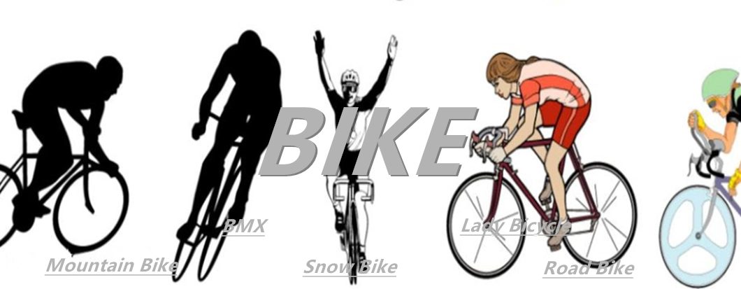 Single Speed Road Bike 26'' MTB Bike Bicycle Women/Men Bike