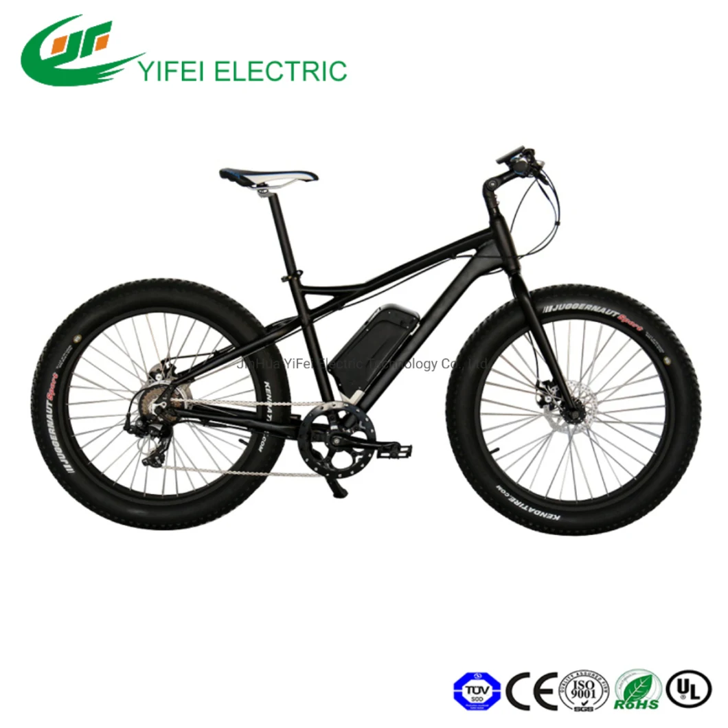 26inch Powerful Electric Bike Pedal Assistant Woman Ebike