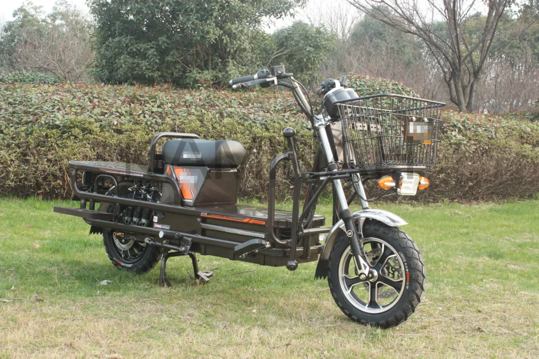Electric Motorcycle Bike Cargo Two Wheels Electric Cargo for Passanger 2wheels Vehicle Electric Motorcycle