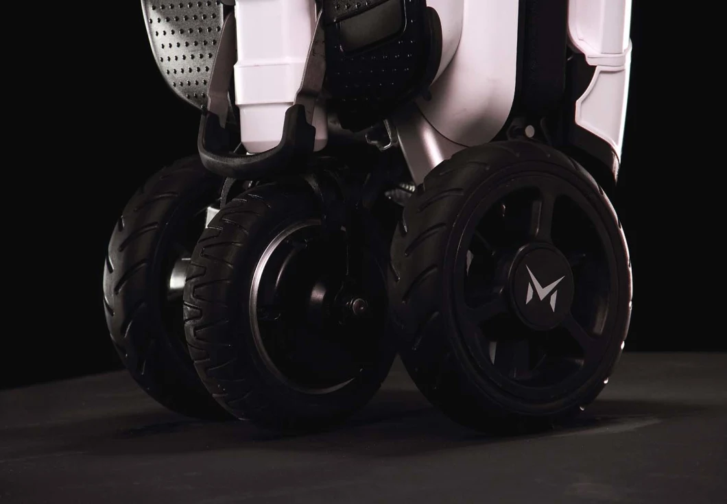 Folding Electric 3 Wheels Bikes with 250 W Brushless Gear DC Hub Motor, LG Battery.