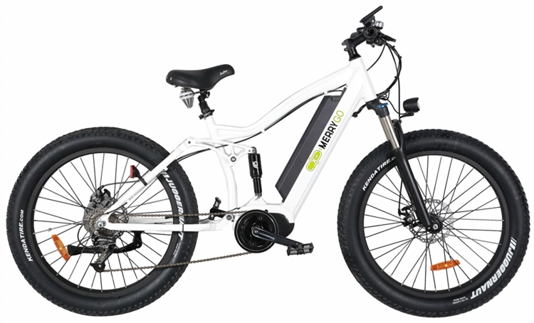 Factory Wholesale Electric Fat Tire Bike Mountain Electric Bike