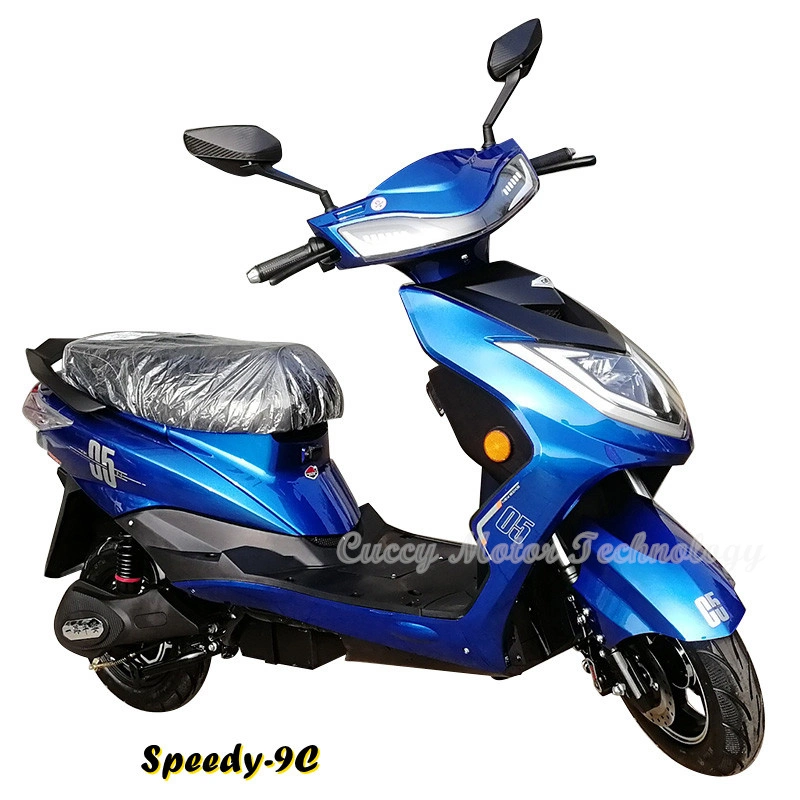 1200W 800W 1000W E-Bike Electrical Ebike Electric Scooter E Bike (Speedy-9C)