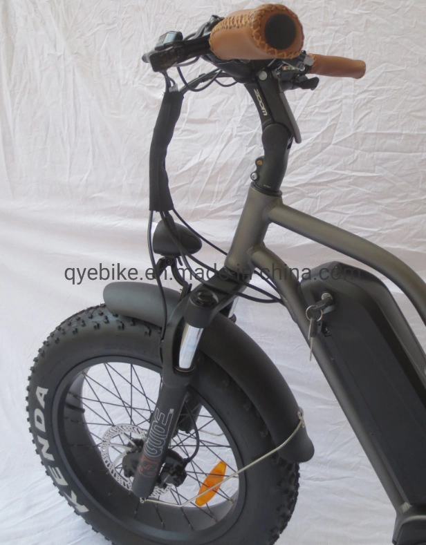 Queene/Fat Tire Electric Bike Bafang MID Drive Snow Beach Cruiser Electric Bicycle