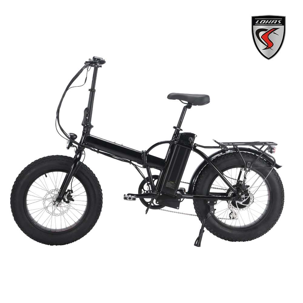 2020 Electric Bike / 48V 750W Fat Tire Foldable Electric Bicycle/ Folding E Bike