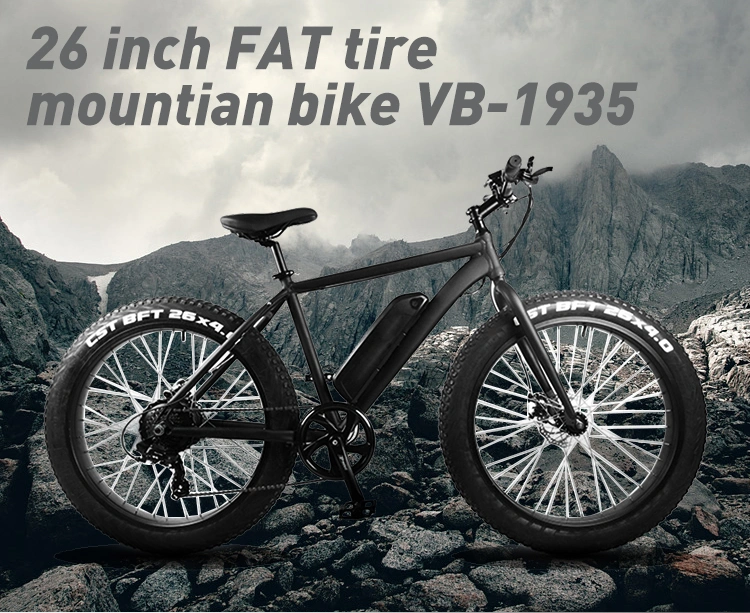 26inch 350W Dual Brake Fat Tire off Road Snow Beach Mountain Ebike Electric Dirt Bike Bicycle