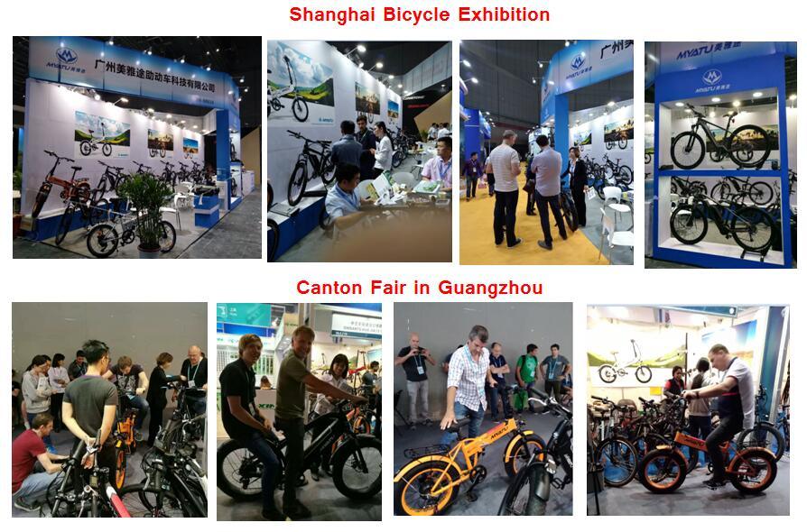 Folding Electric Bike with Magnesium Alloy Integrated Wheel Li Battery Folding Ebike