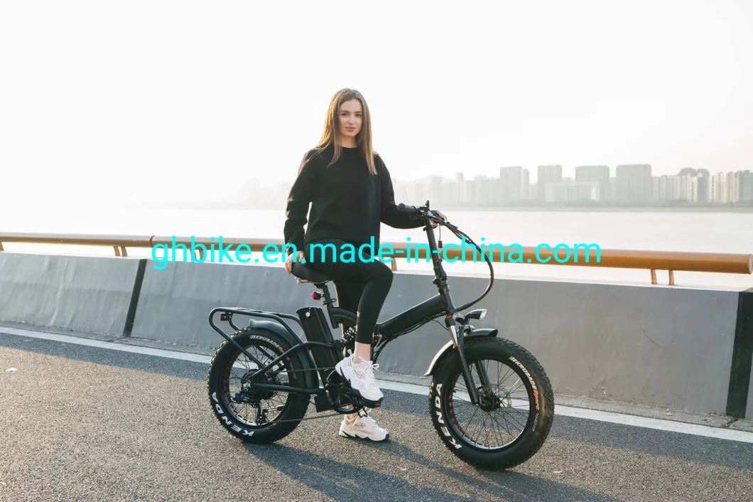 Wholesale 48V 1000W Bafang Motor Full Suspension 20