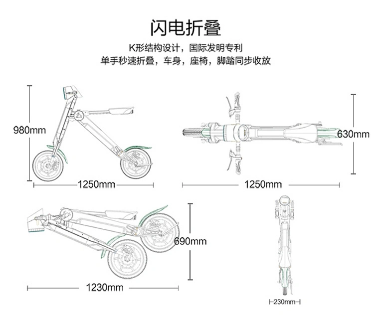 E Bicycle Electr Bike Fold E Bike Electric Bike