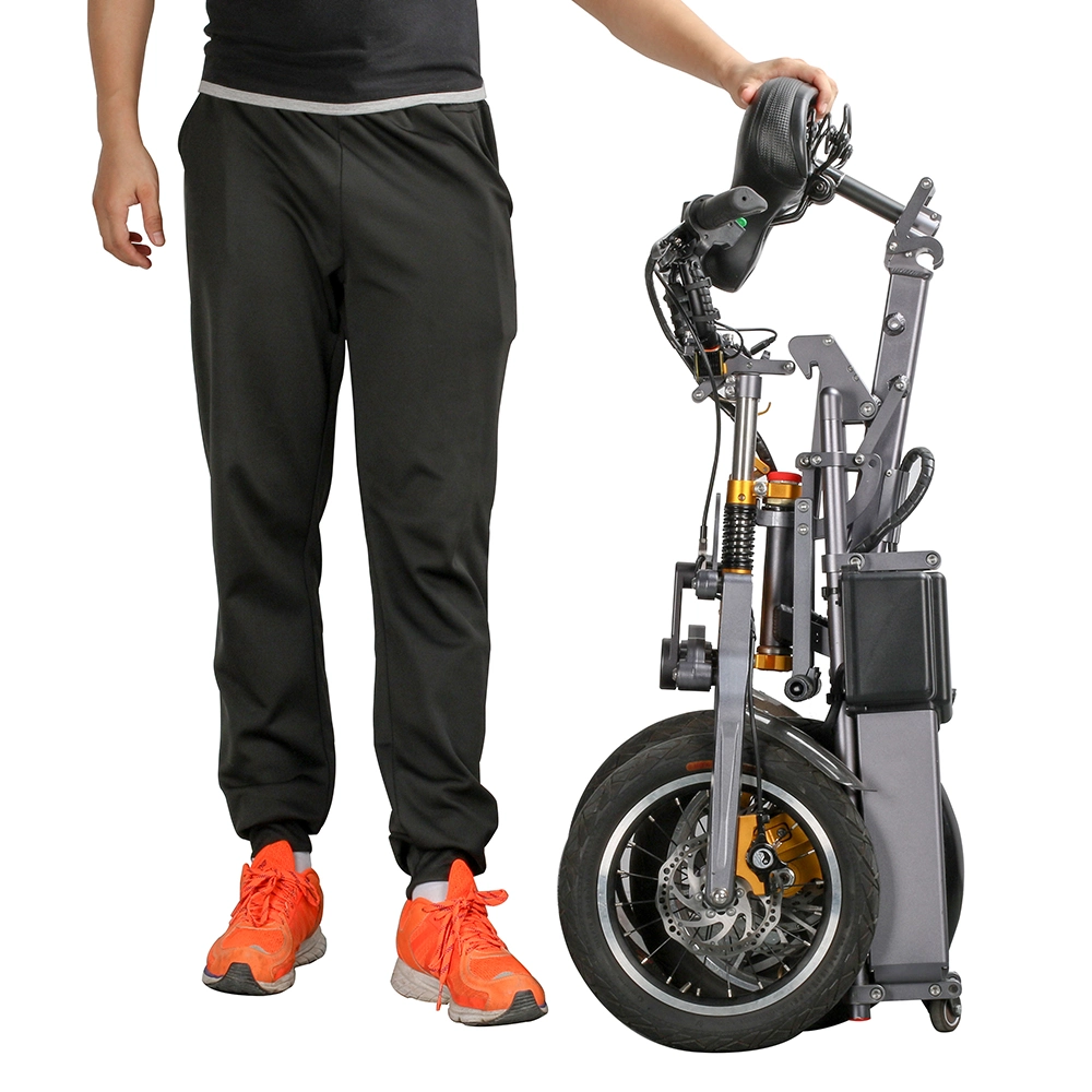 2019 250W European Fashionable Style Electric Folding Bike