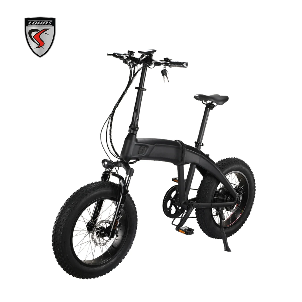 500W 4 Inch Fat Tyre Faldable Electric Bike Folding E-Bike