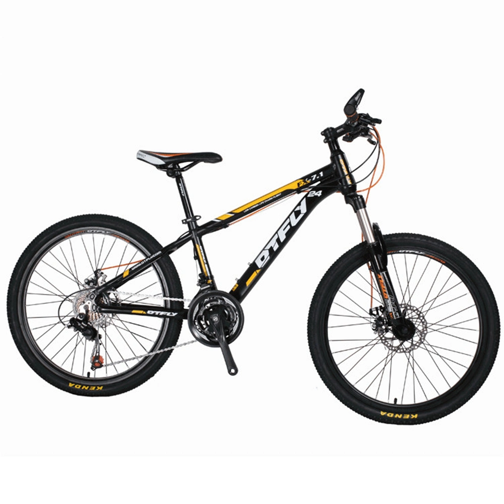 Sports Bicycle Prices in India Mountain Bike OEM 29er Carbon Mountain Bike