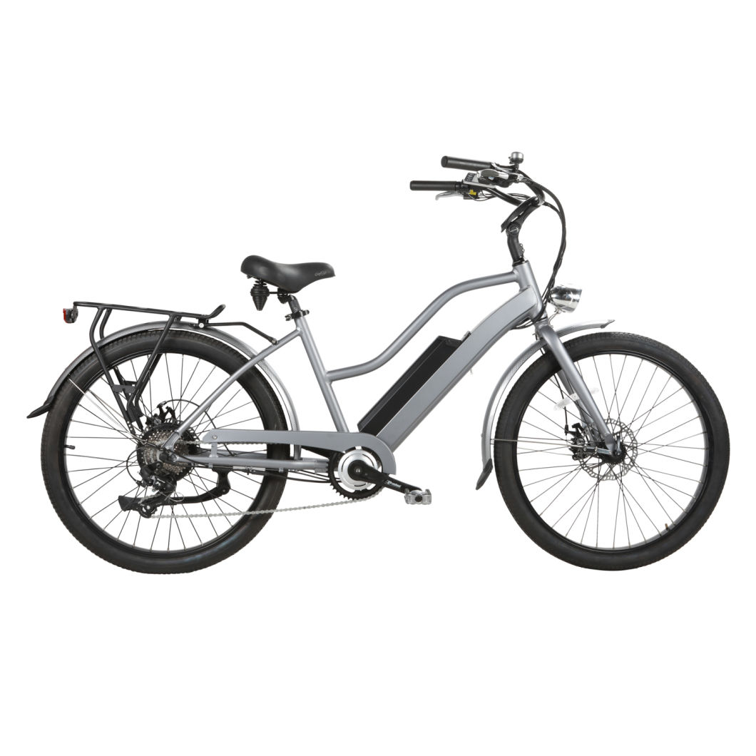 Two Wheel City Bike Electric Bike for Adult