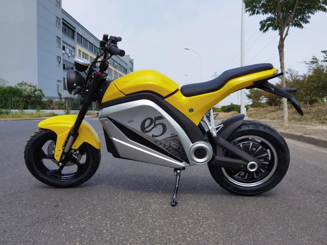 Hot Selling Lithium Battery 2 Wheels Motorcycle Bikes Electric Bikes