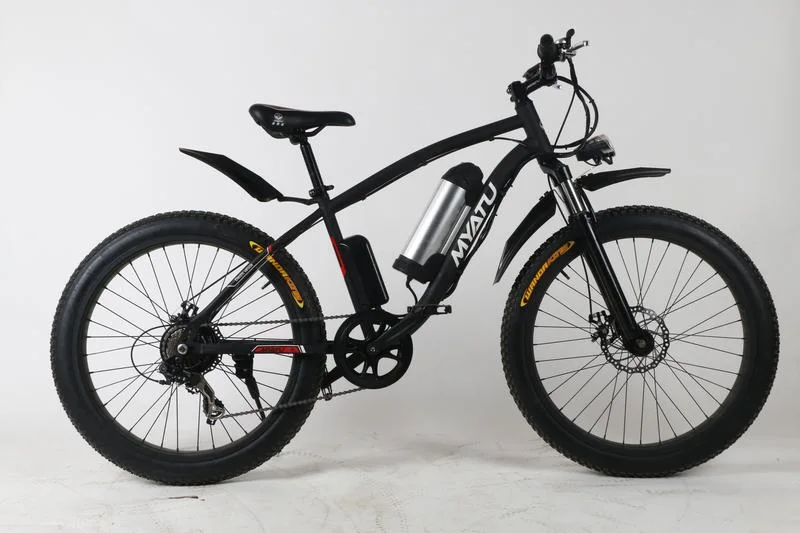 Electric Fat Sandbeach Bike/Electric Fat Bike 1000W