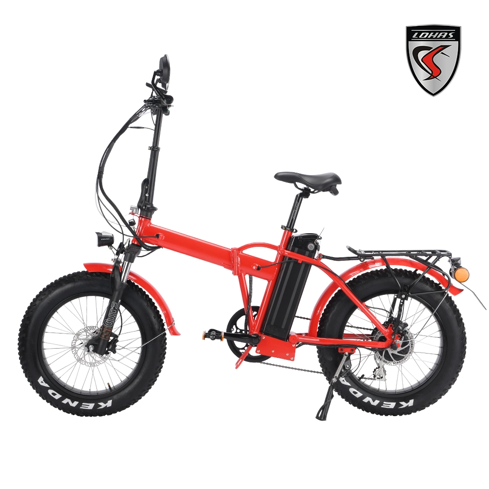 1000W EEC Electric Scooter Without Anti Dumping Tax Folding Electrical Bike