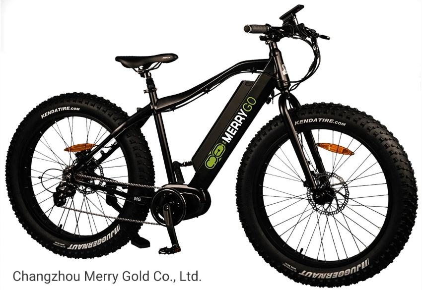 Paladin 26inch 350W Lithium Battery Fat Tire Electric Snow Bike
