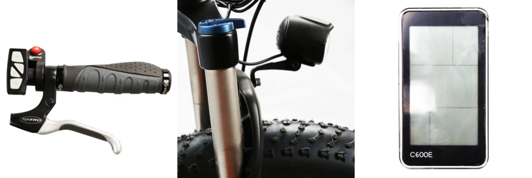 48V500W Electric Bike Lithium Battery Powered Electric Bicycle/ Bicicleta Mountain Bike