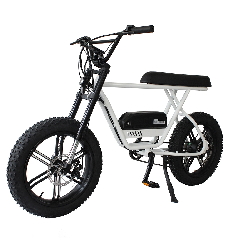 Ebike From Factory Making 750W/1000W Brushless Bafang Motor Electric Bikes for Adults Two Wheels
