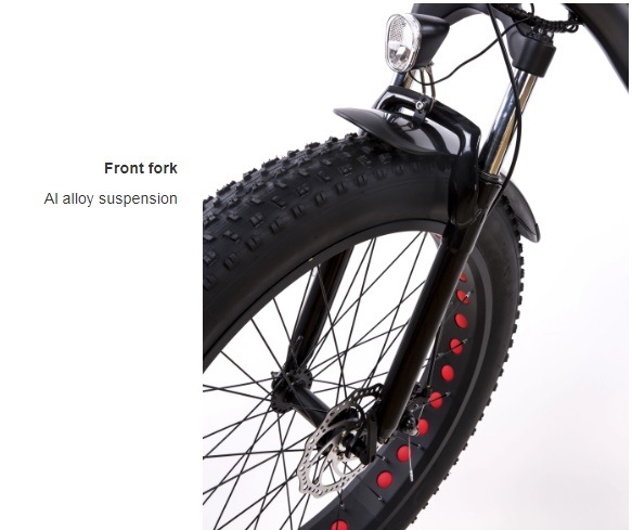 New Product Long Distance Range Fat Bike 48V 1000watt Fat Tire Electric Snow Bikes for Man