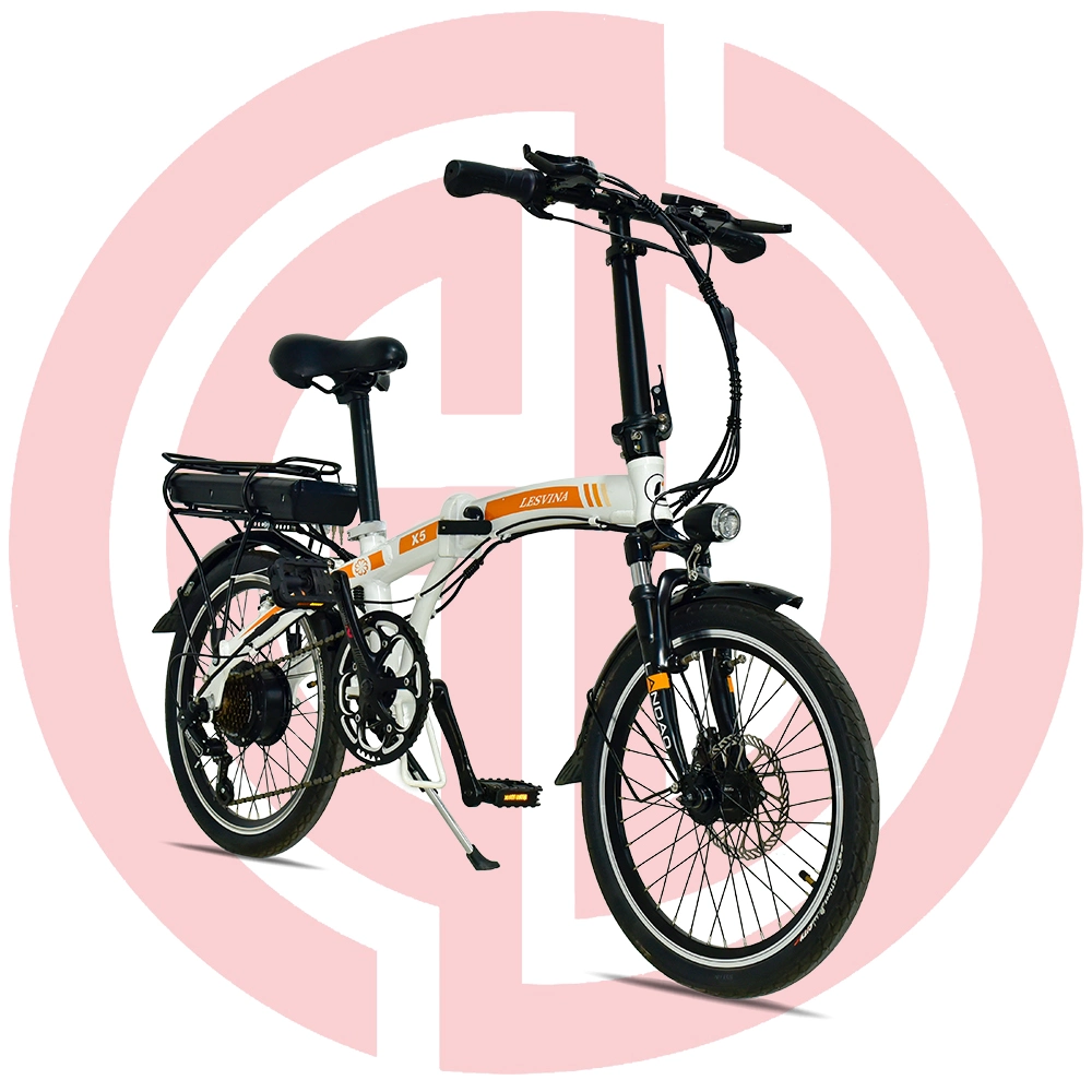 Hot Sale Electric Folding Bike with 26'' Inch Foldable Ebike