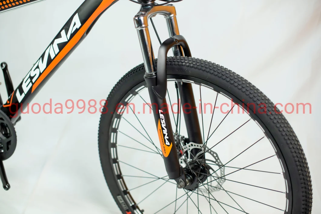 China Manufacturer Outdoor Bicycle New Design Bike Mountain Bike