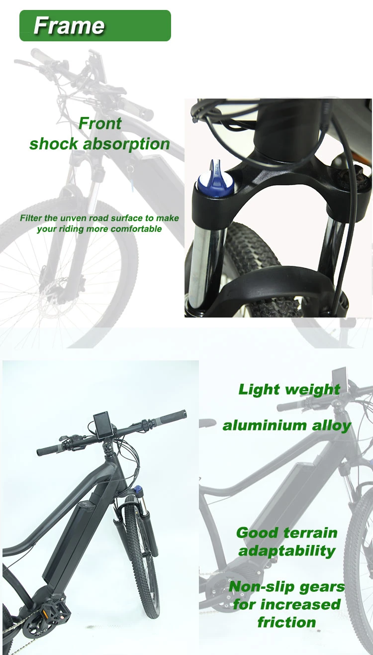 2 Years Warranty 350W 500W MID Motor Ebike Electric Bike with Torque Sensor