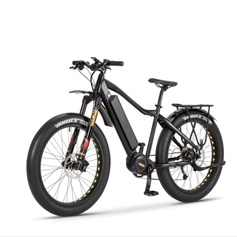 2019 New Design 8fun/Bafang 48V 750W E-Bike 20 Inch Fat Tire