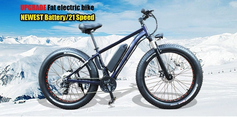Snow Moutain E-Fatbike Ebike Fat Tire Long Range Electric Bike