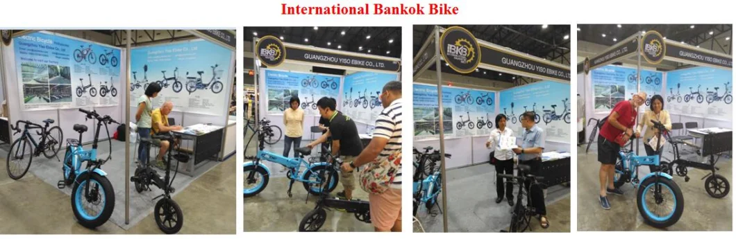 Ebike City Electric Bike 500W Bafun Motor Li-ion Battery Bicycle