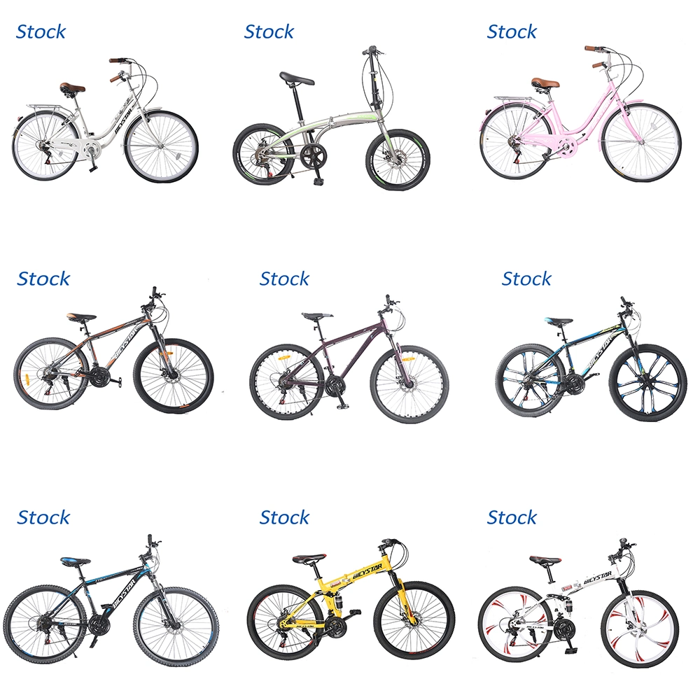 24 Inch Wheel Folding Bike/24 Speed Folding Bike