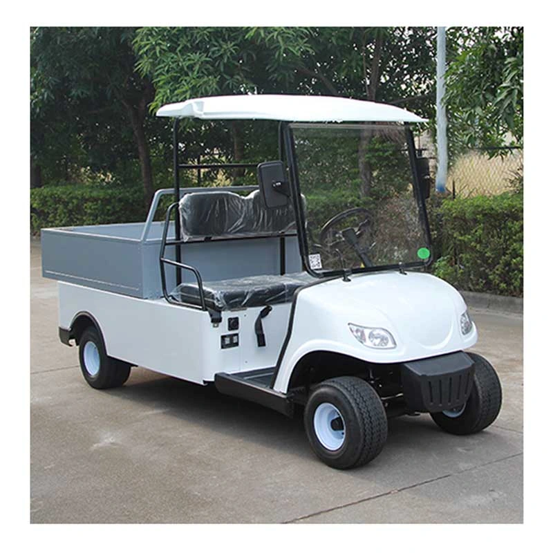 Two Seater Electric Utility Carts, Custom Street Legal Golf Carts Steel Box