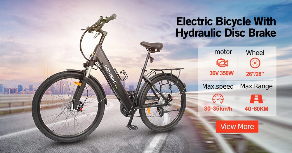New Design 48V 750W Chinese Electric Bike with Hydraulic Disc Brake