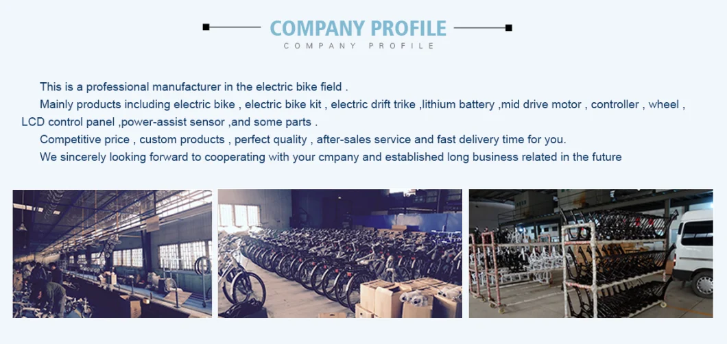 E-Bike Lithium Battery with Samsung Imported Cell & Built-in Controller