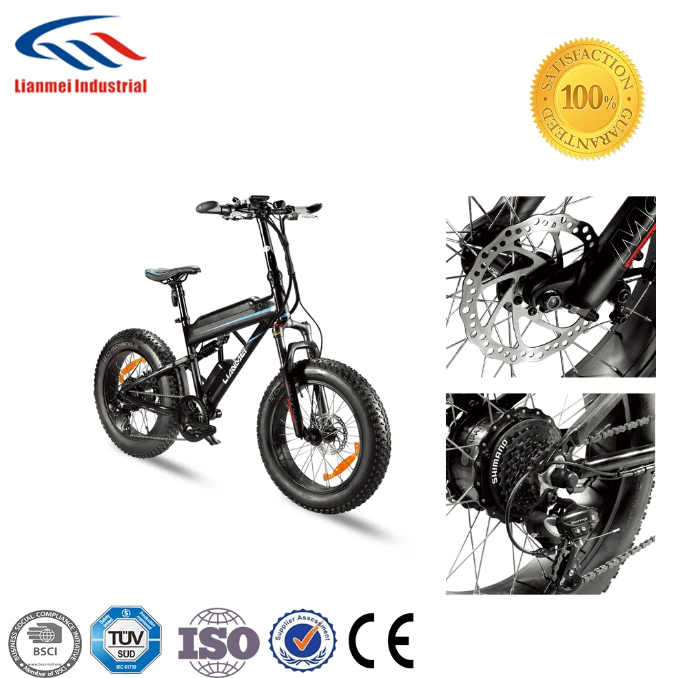 Electric Bike Bafang Motor High Power