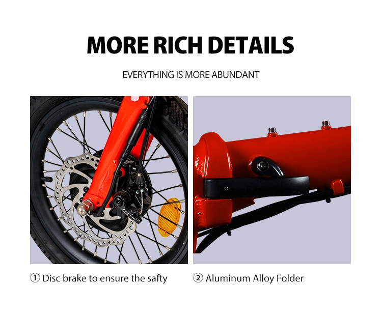 16 Inch 250W 36V 5.2ah Velo Electrique Foldable E-Bike Electric Foldable Bicycle