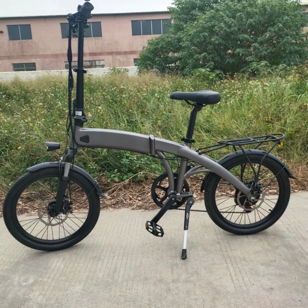Folding Electric Bike 500W/48V Moter 10.4 Ah Lithium Battery City Electric Bicycle