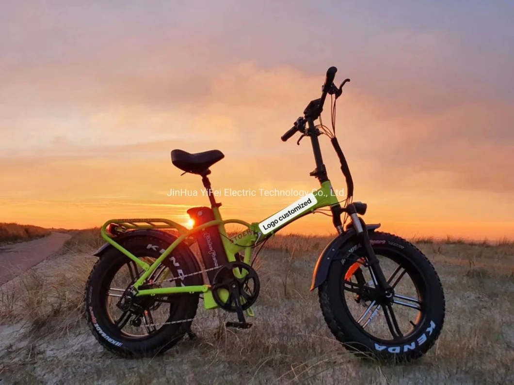 Foldable Electric Bicycle 750W 15ah Fat Tire Electric Bike Folding Ebike